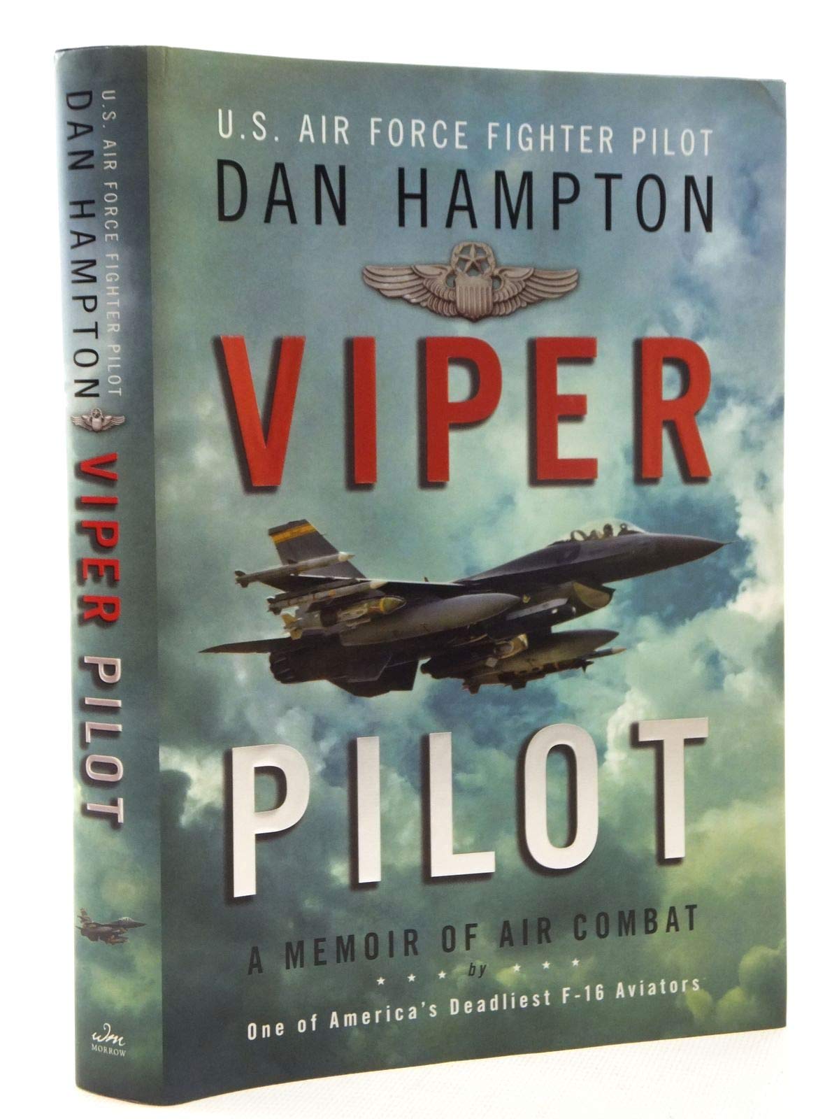 Viper Pilot: A Memoir of Air Combat