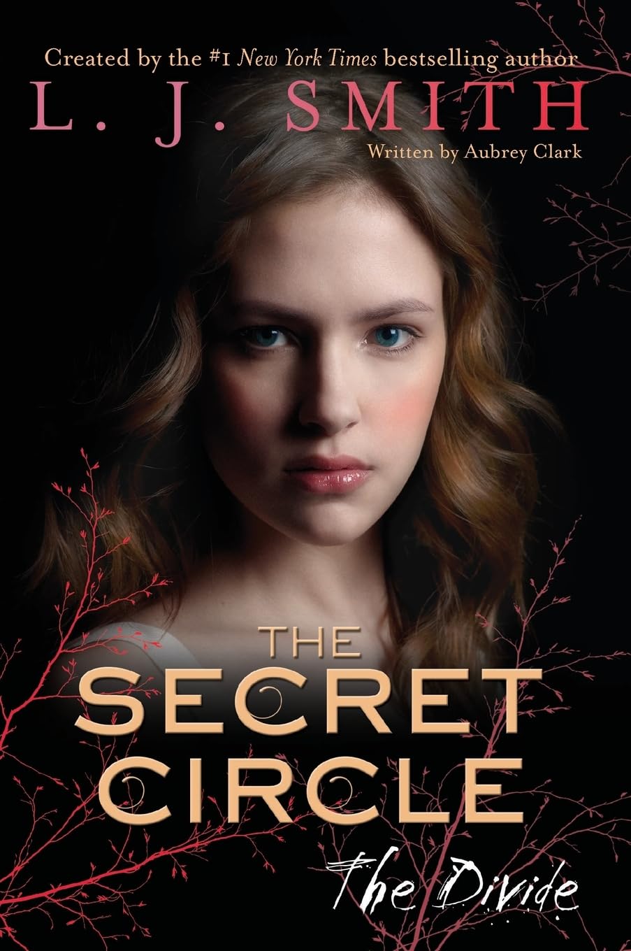The Secret Circle: The Divide (Secret Circle, 4)