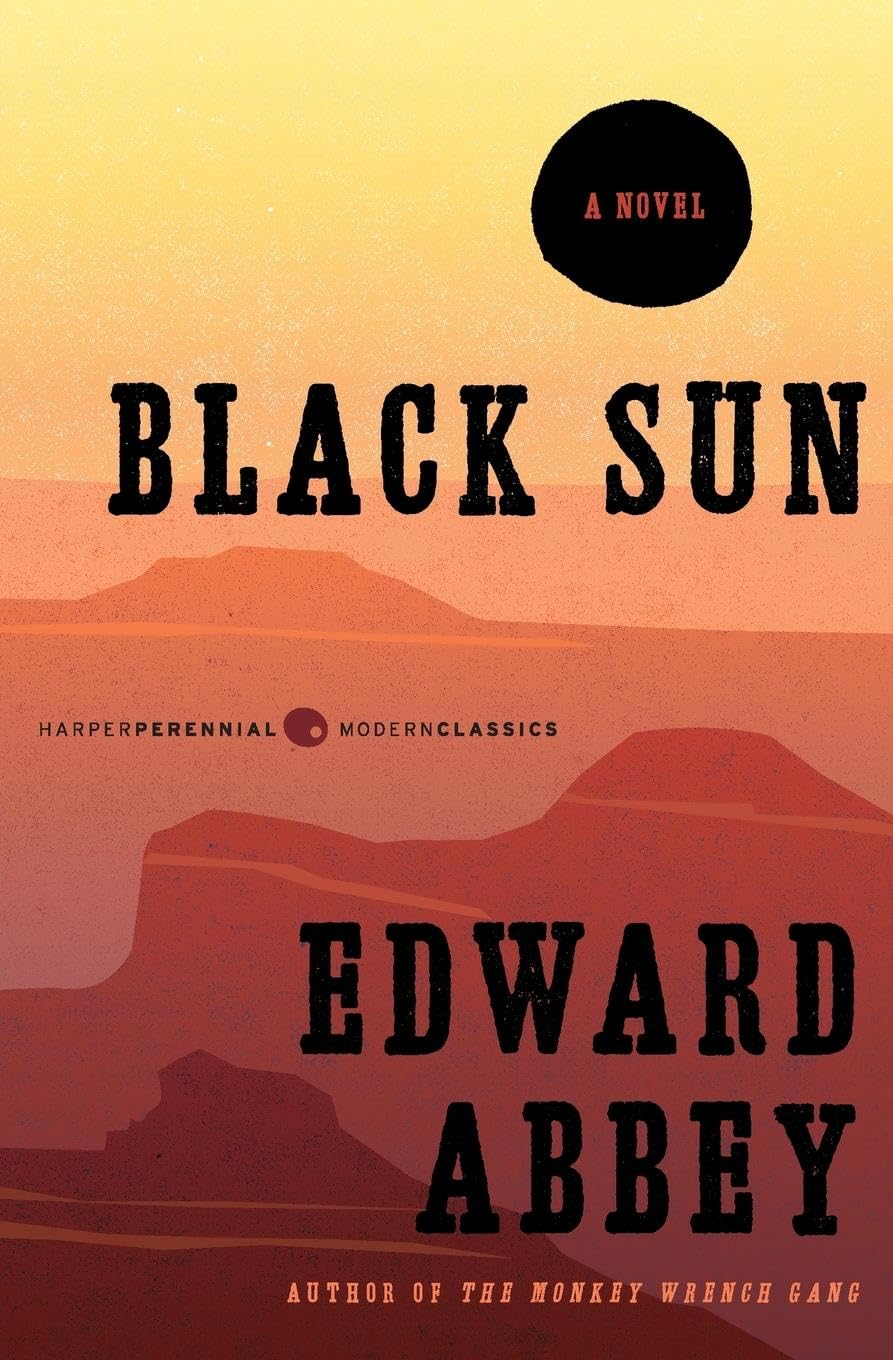BLK SUN (Harper Perennial Modern Classics)