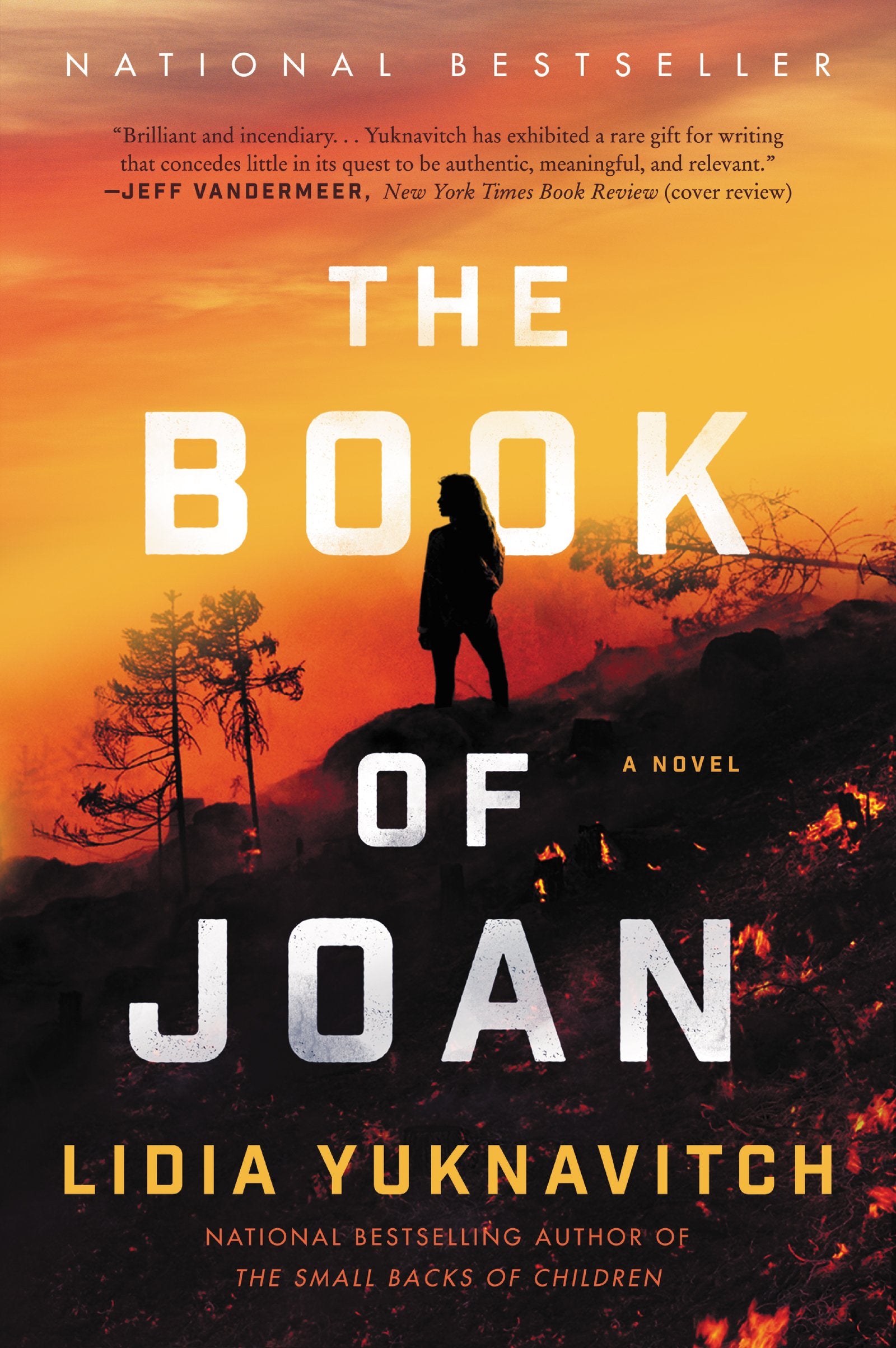 The Book of Joan: A Novel