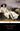 ITALIAN JOURNEY: 1786-1788 (PENG