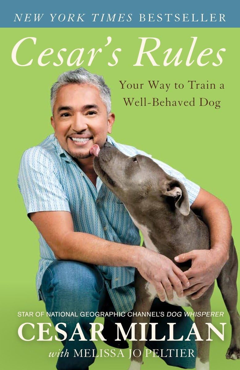 CESAR'S RULES: YOUR WAY TO TRAIN
