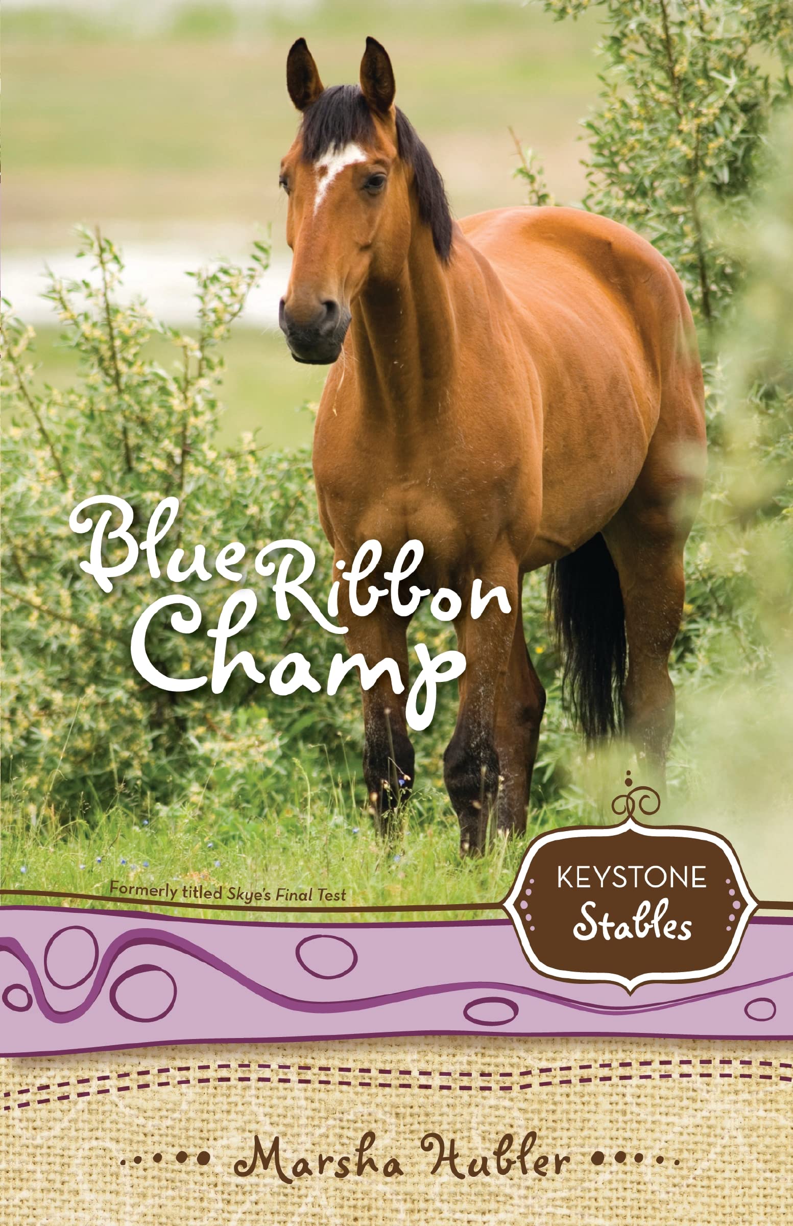Blue Ribbon Champ (6) (Keystone Stables)
