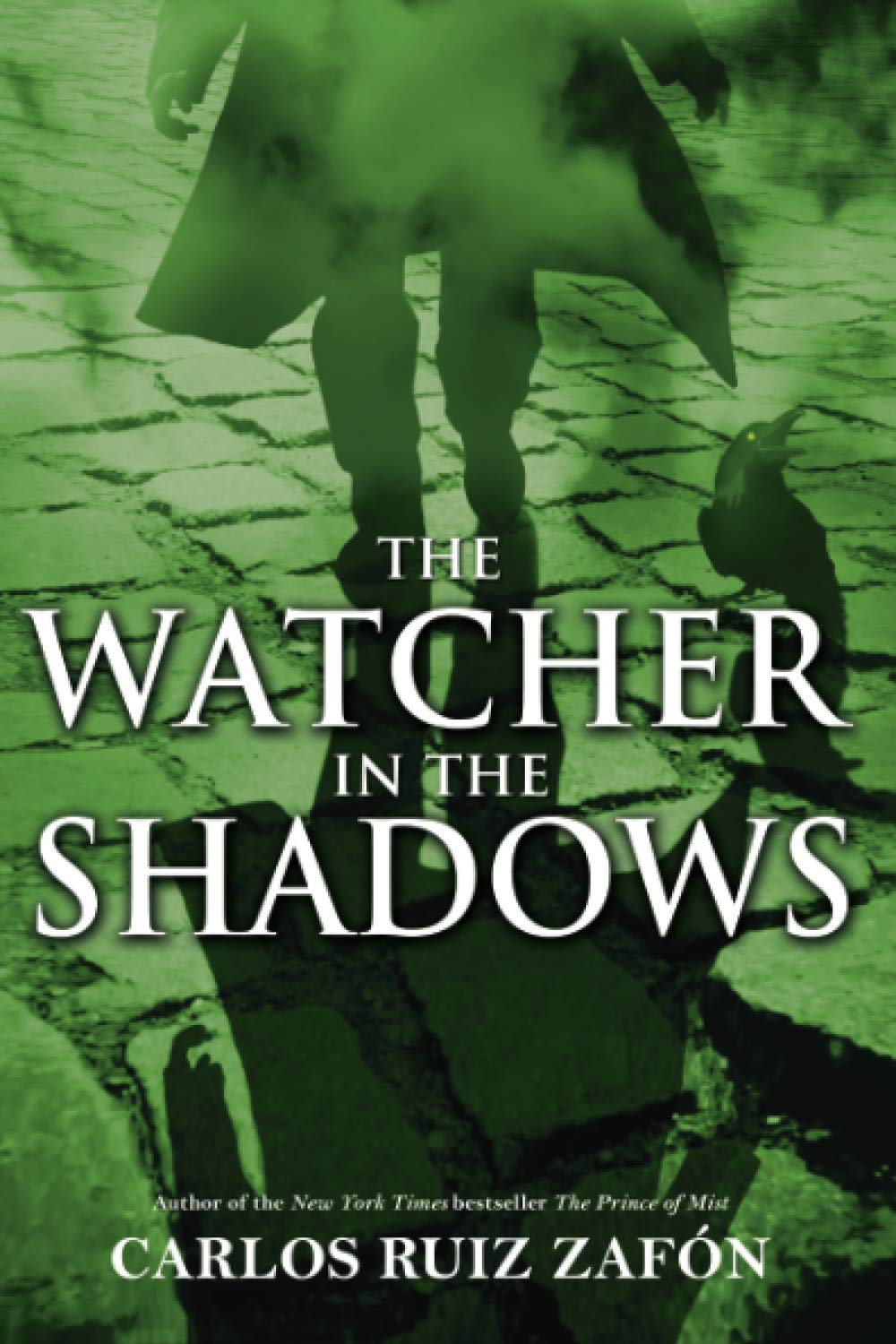 The Watcher in the Shadows - 6906
