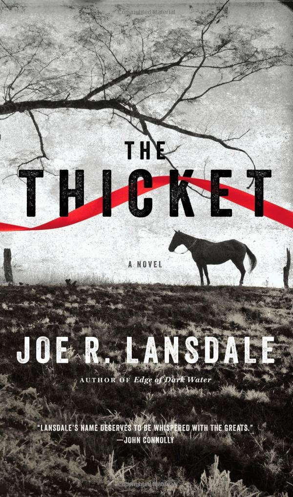 The Thicket - 8249