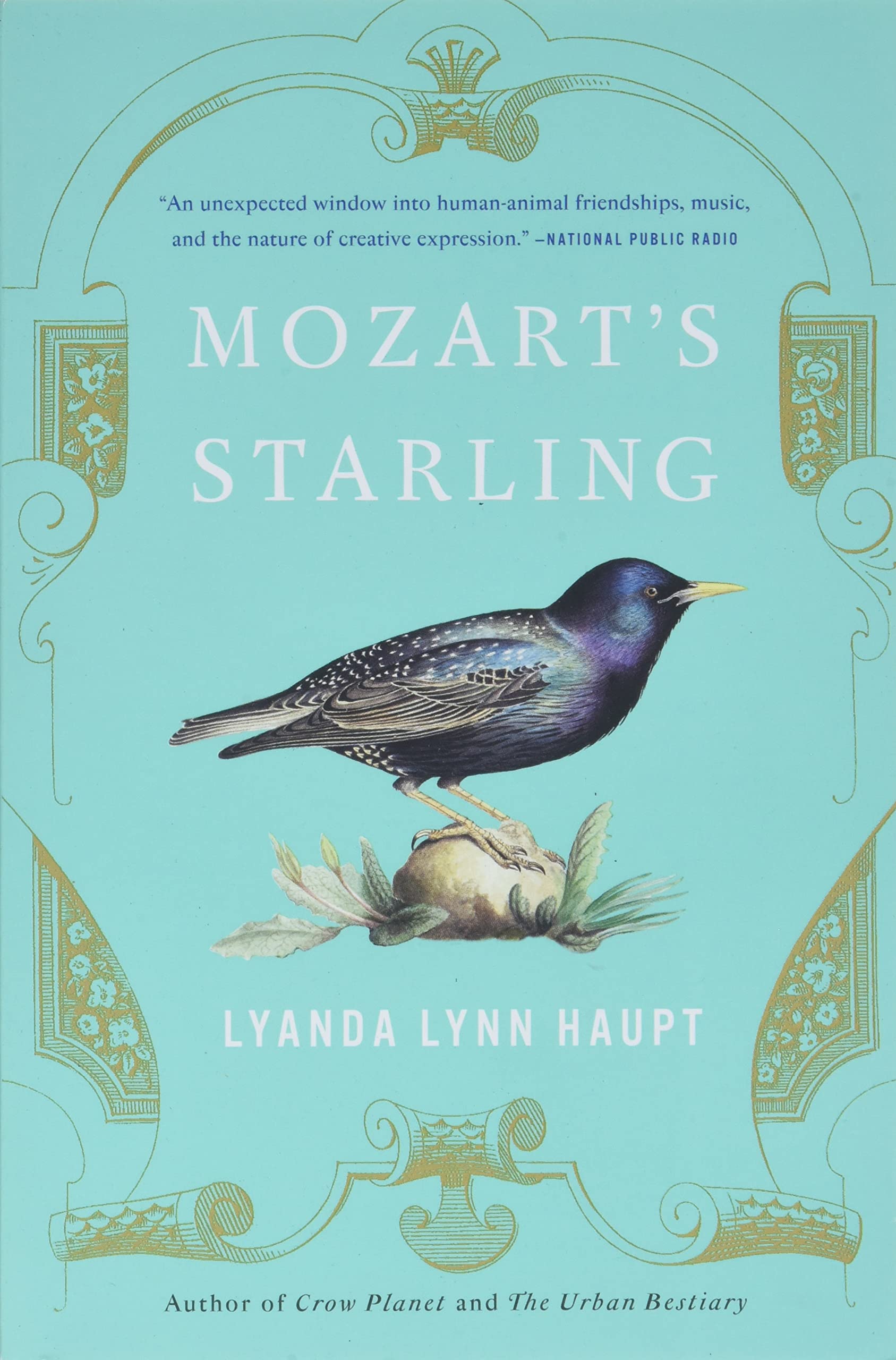Mozart's Starling - 3363