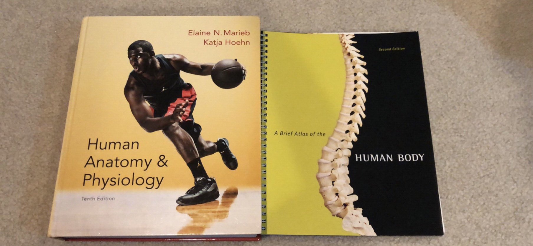 Human Anatomy & Physiology Plus Masteringa & p With Etext