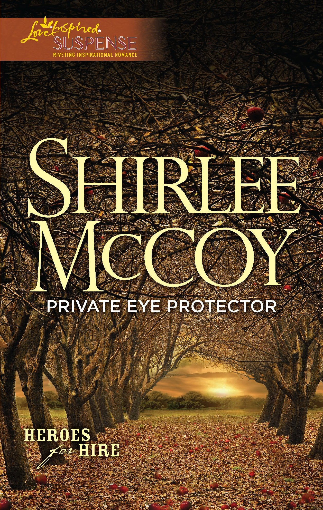Private Eye Protector (Heroes for Hire, 5)