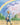 Newton's Rainbow: The Revolutionary Discoveries of a Young Scientist