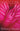 Soft Core: A Novel