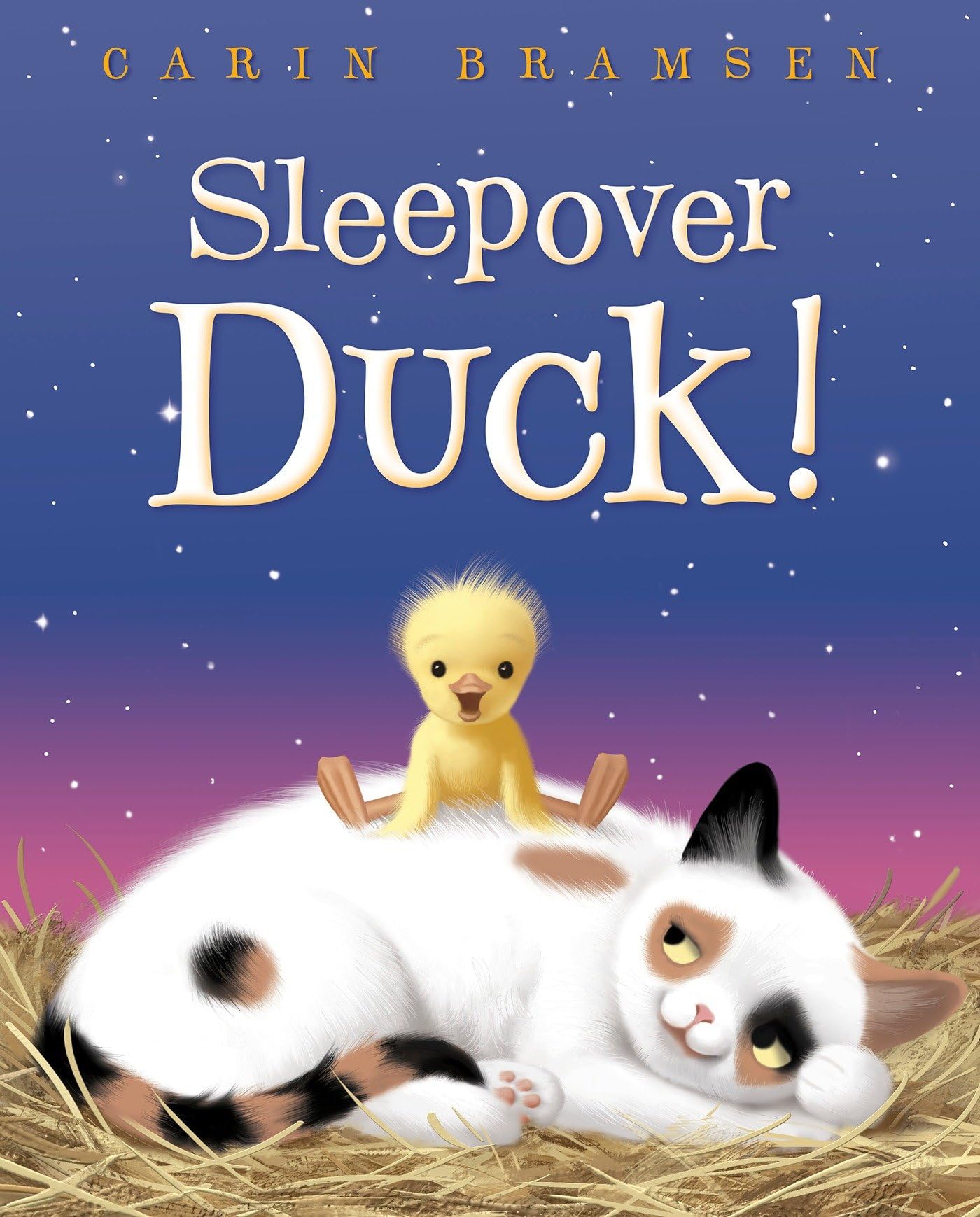 Sleepover Duck! - 6601