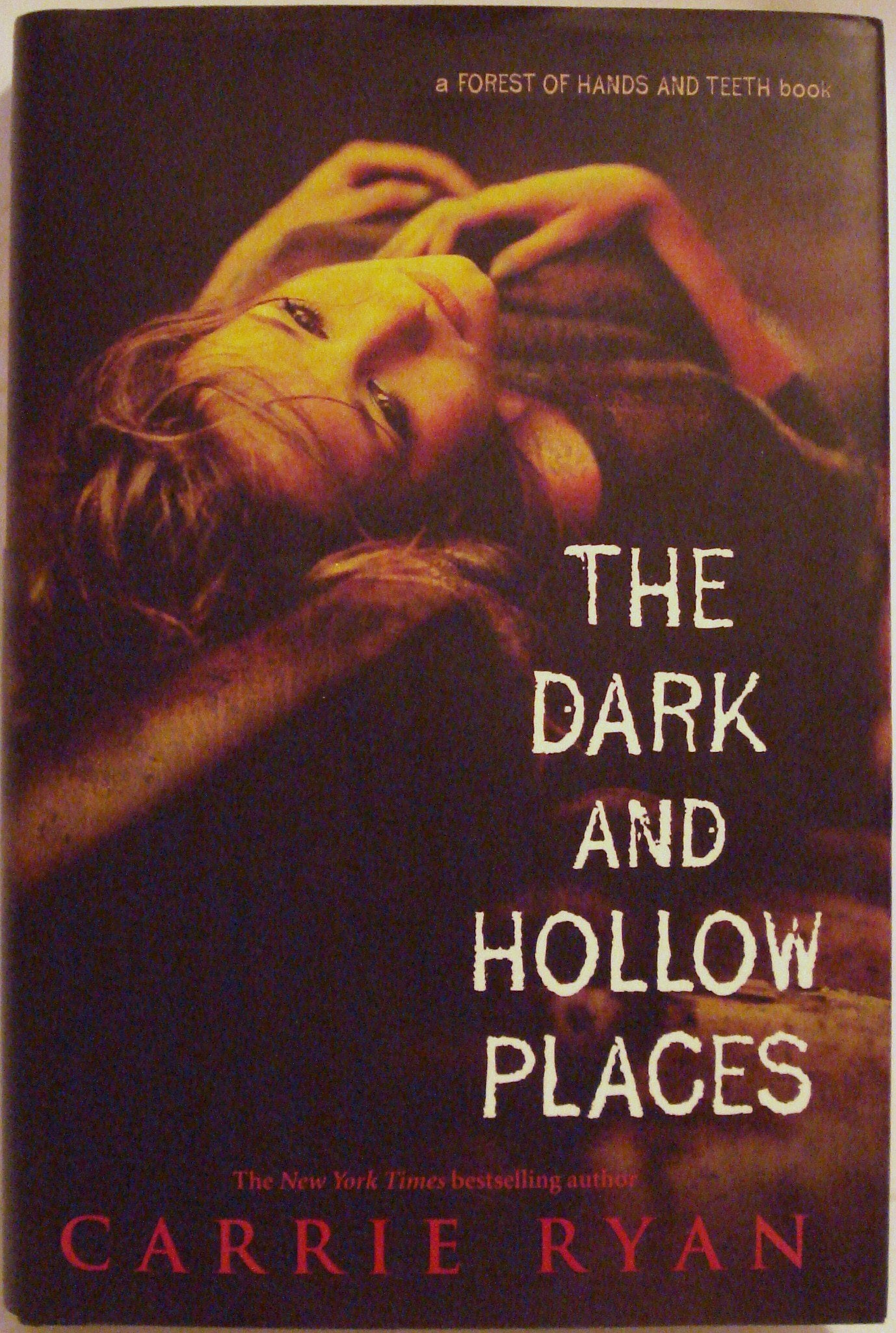 The Dark and Hollow Places (Forest of Hands and Teeth, Book 3)