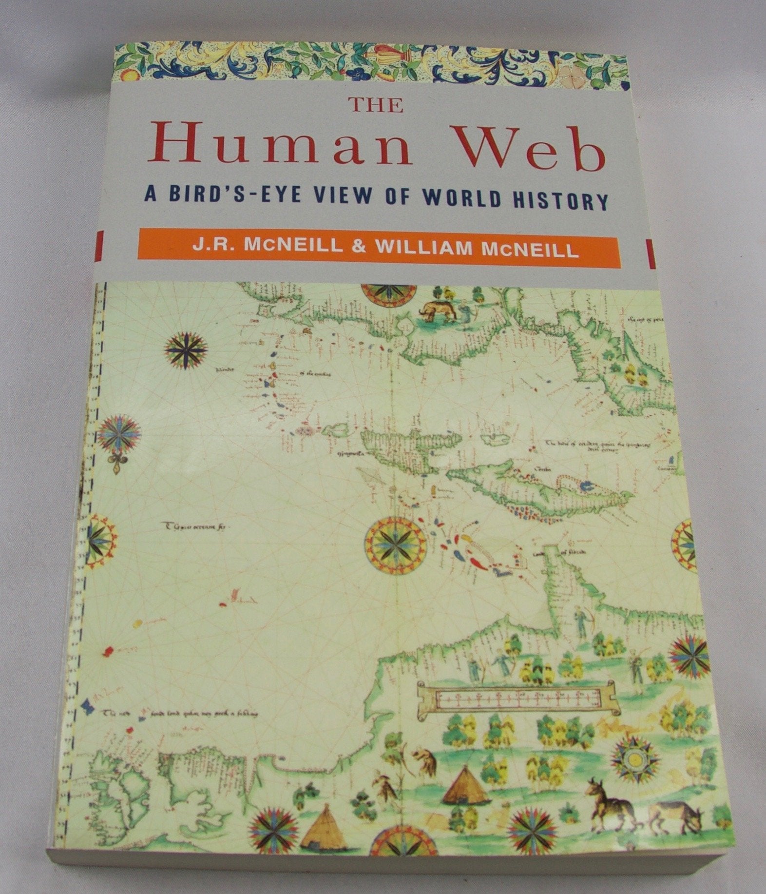The Human Web: A Bird's-Eye View of World History