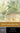 Wide Sargasso Sea: A Norton Critical Edition (Norton Critical Editions)