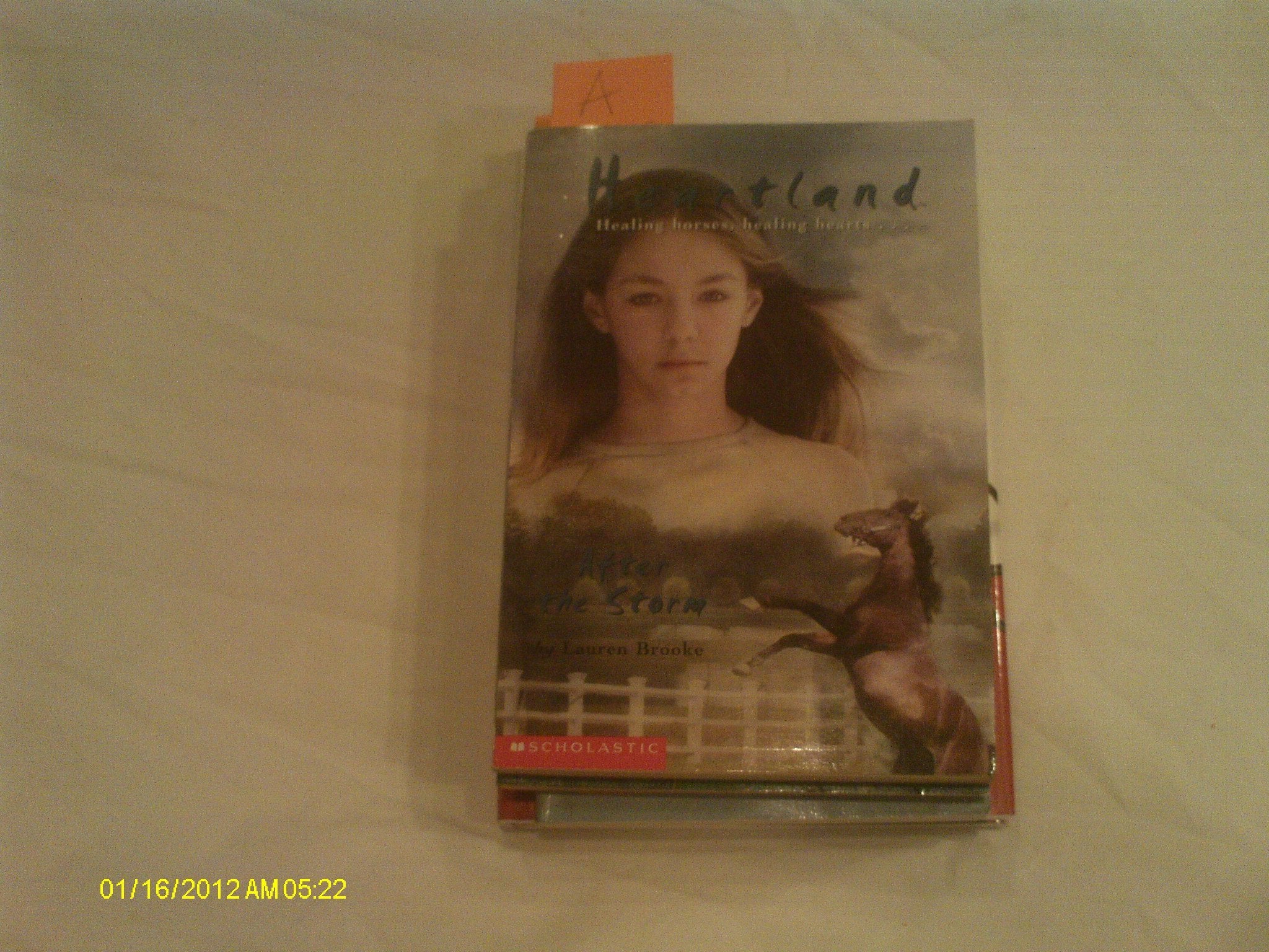 After the Storm (Heartland #2)