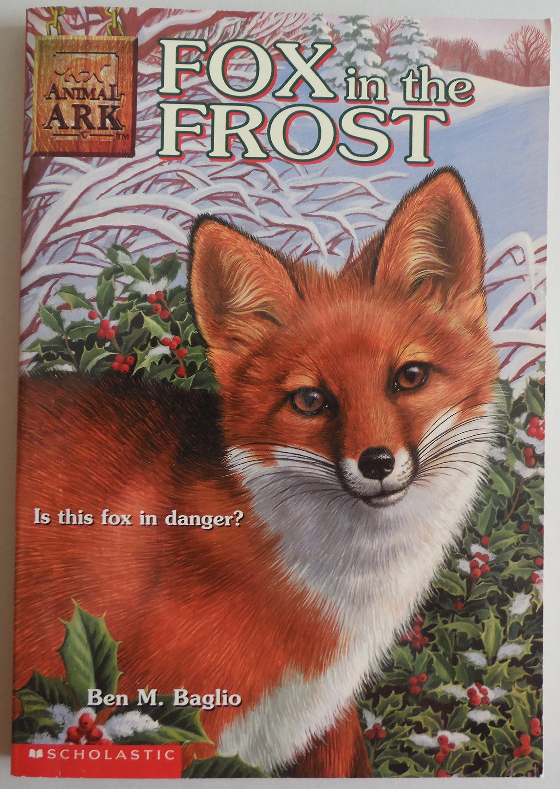 Fox in the Frost (Animal Ark)
