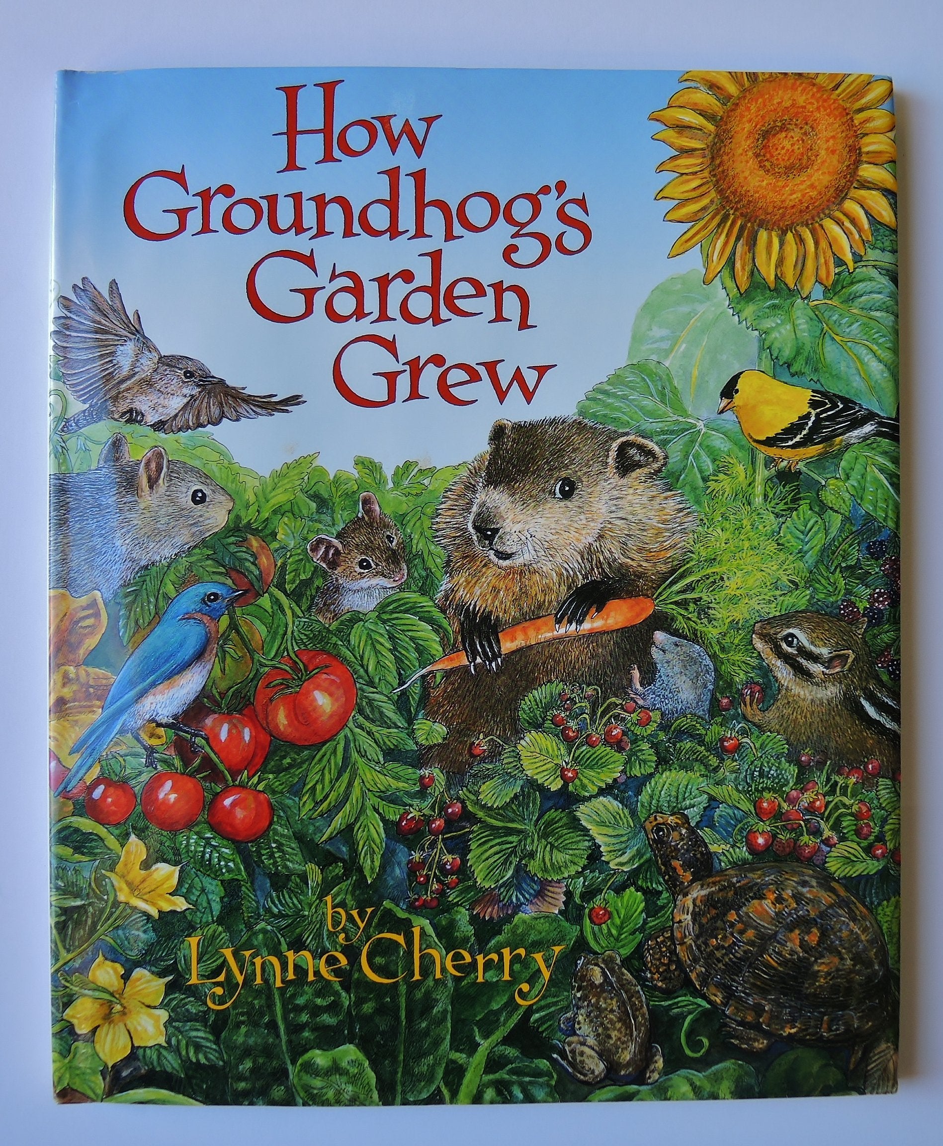 How Groundhog's Garden Grew