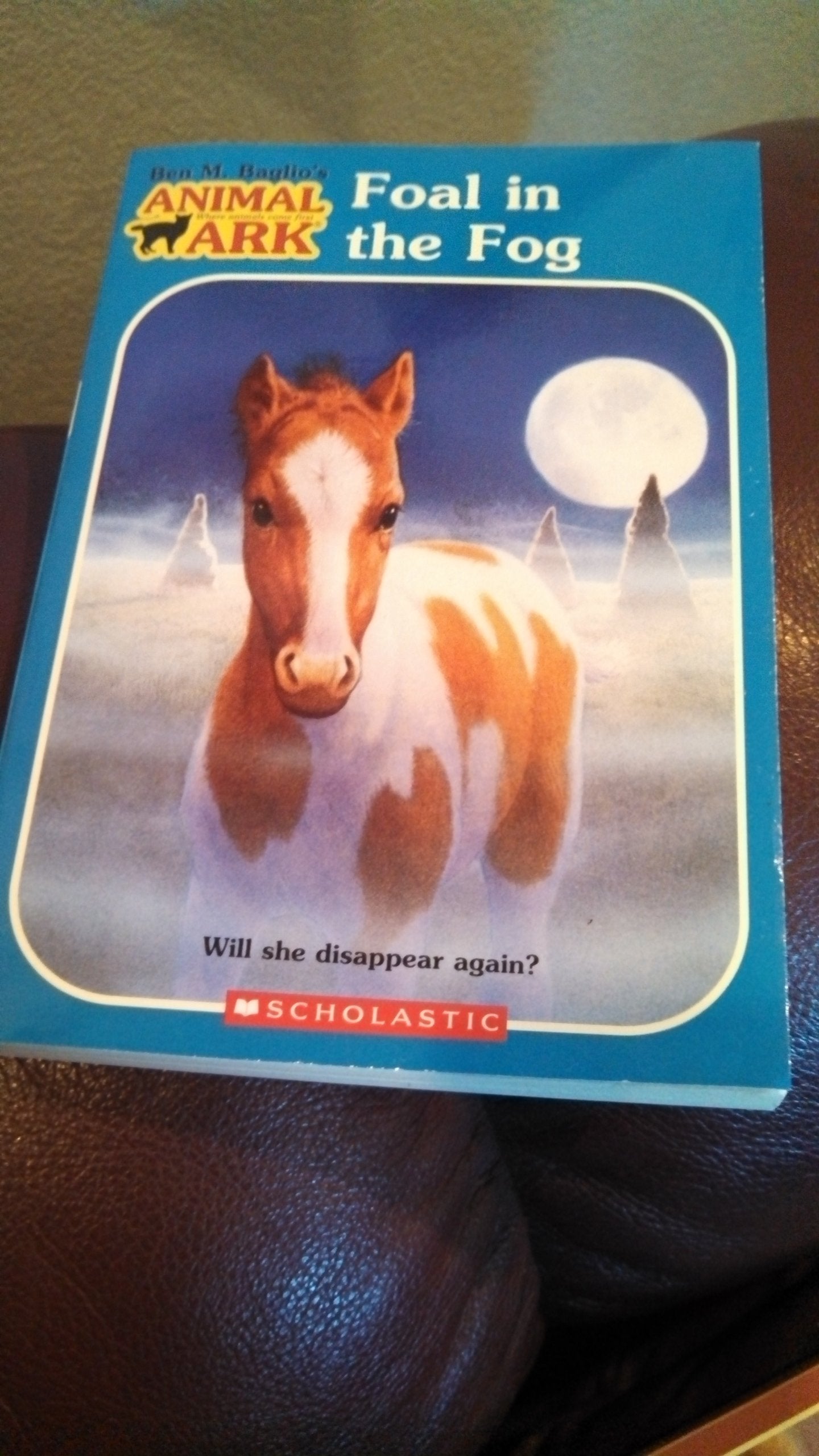 Foal in the Fog (Animal Ark Hauntings #5) - 2439