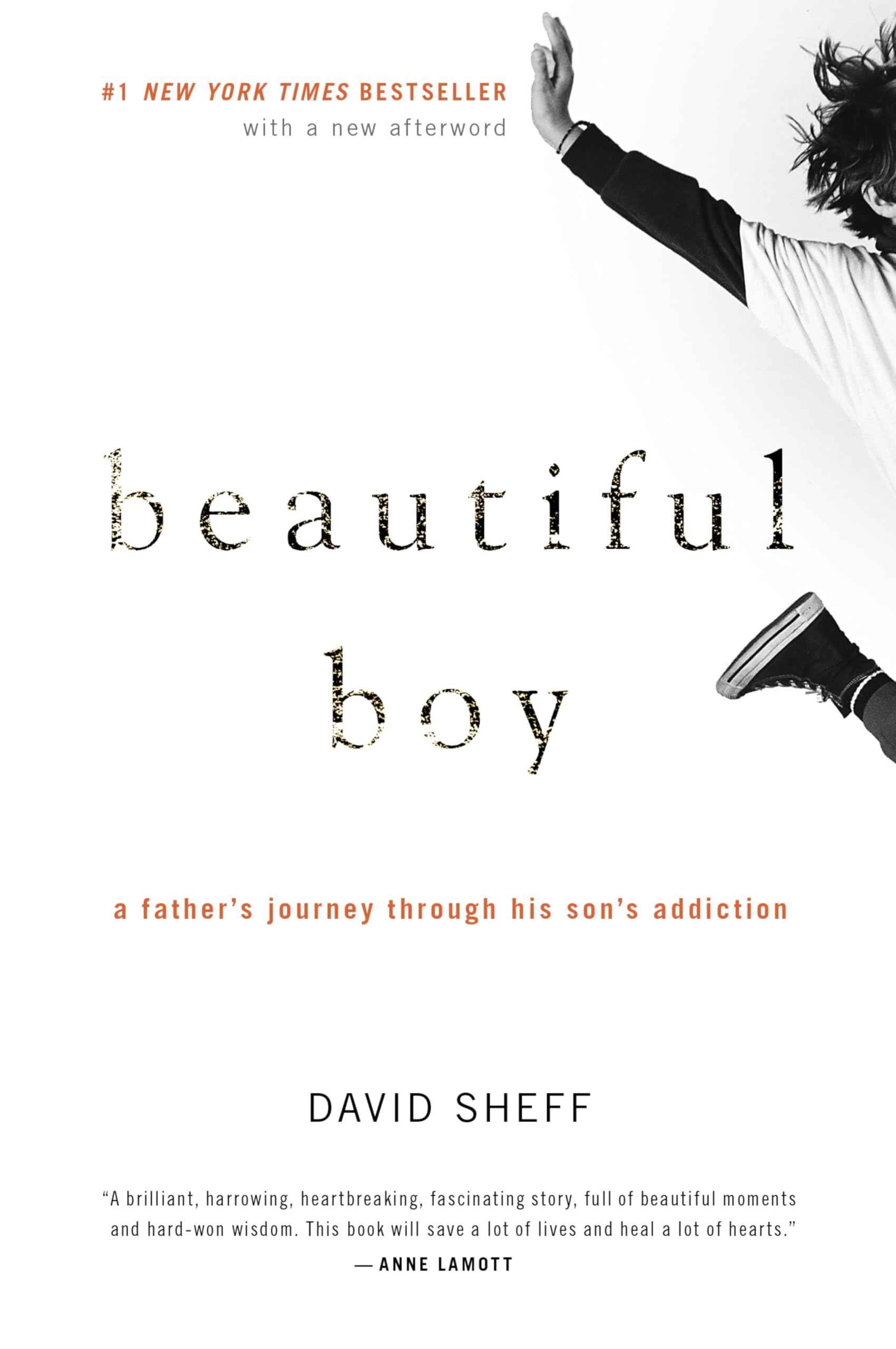 Beautiful Boy: A Father's Journey Through His Son's Addiction - 9172