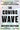 The Coming Wave: Technology, Power, and the Twenty-first Century's Greatest Dilemma