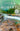 The Witness