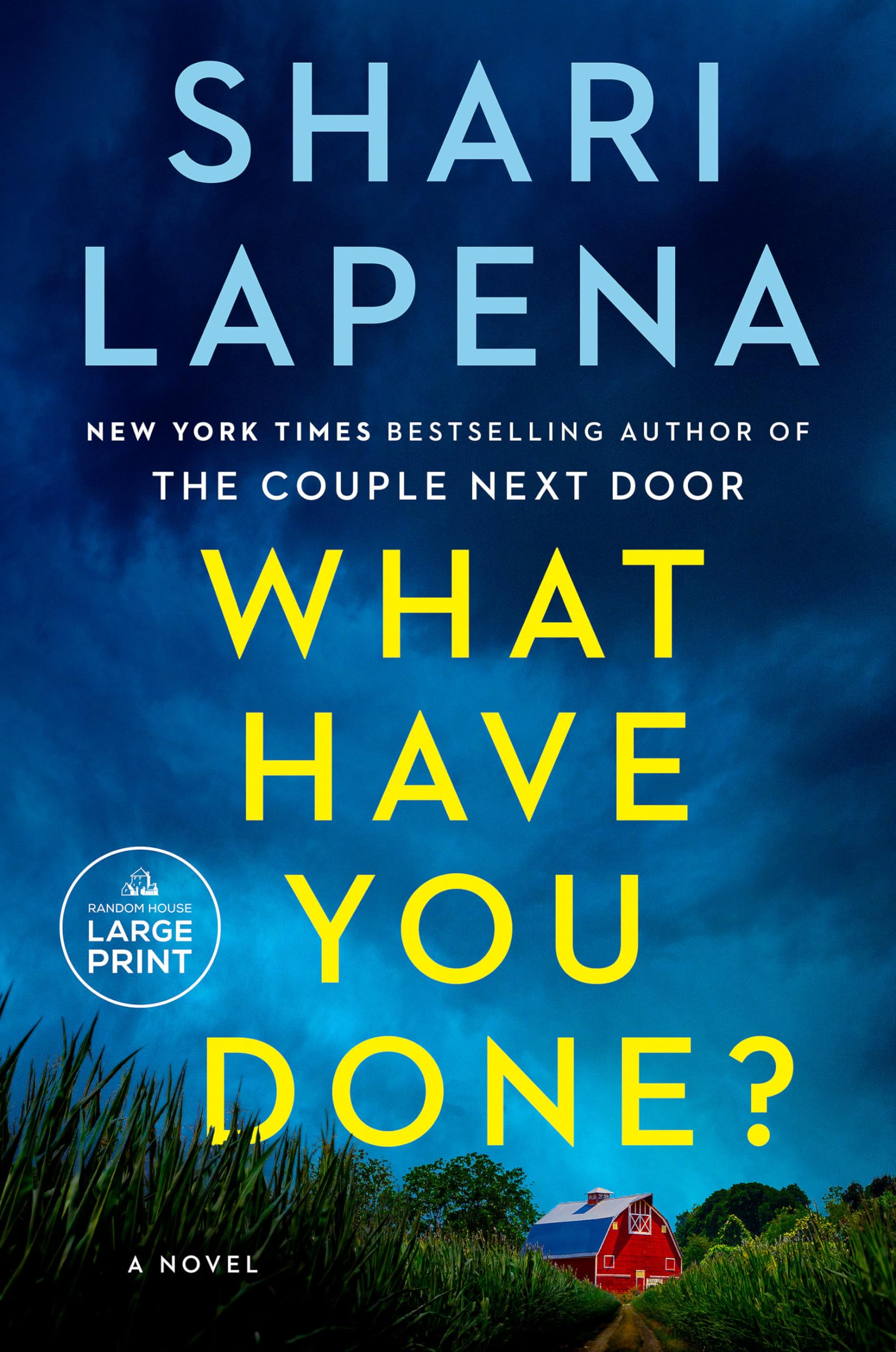 What Have You Done?: A Novel