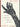 The Hand: How its use shapes the brain, language, and human culture