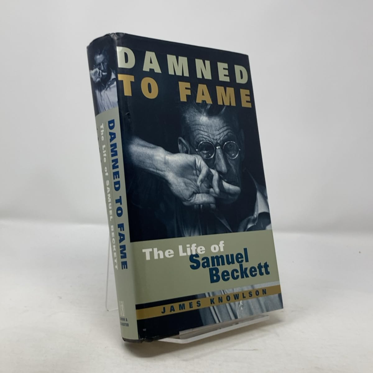 Damned to Fame: The Life of Samuel Beckett