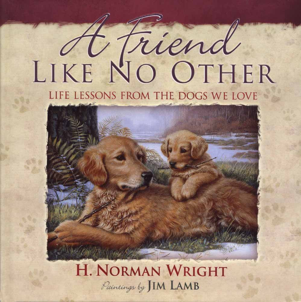 A Friend Like No Other: Life Lessons from the Dogs We Love