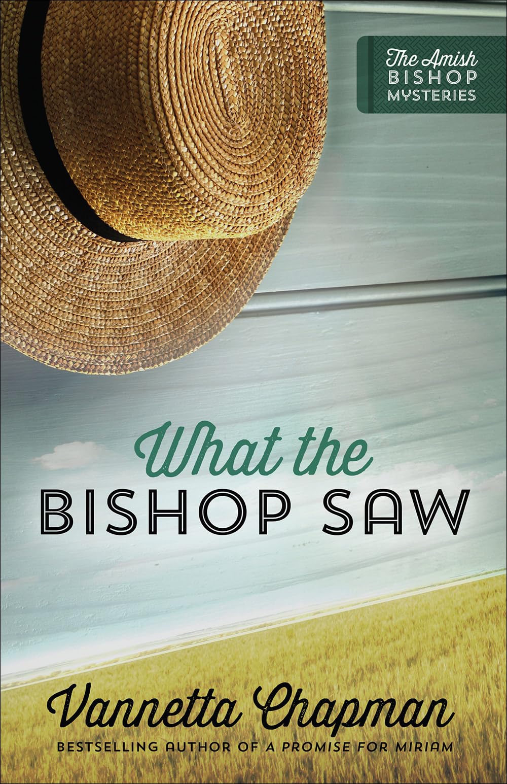 What the Bishop Saw (Volume 1) (The Amish Bishop Mysteries) - 7592