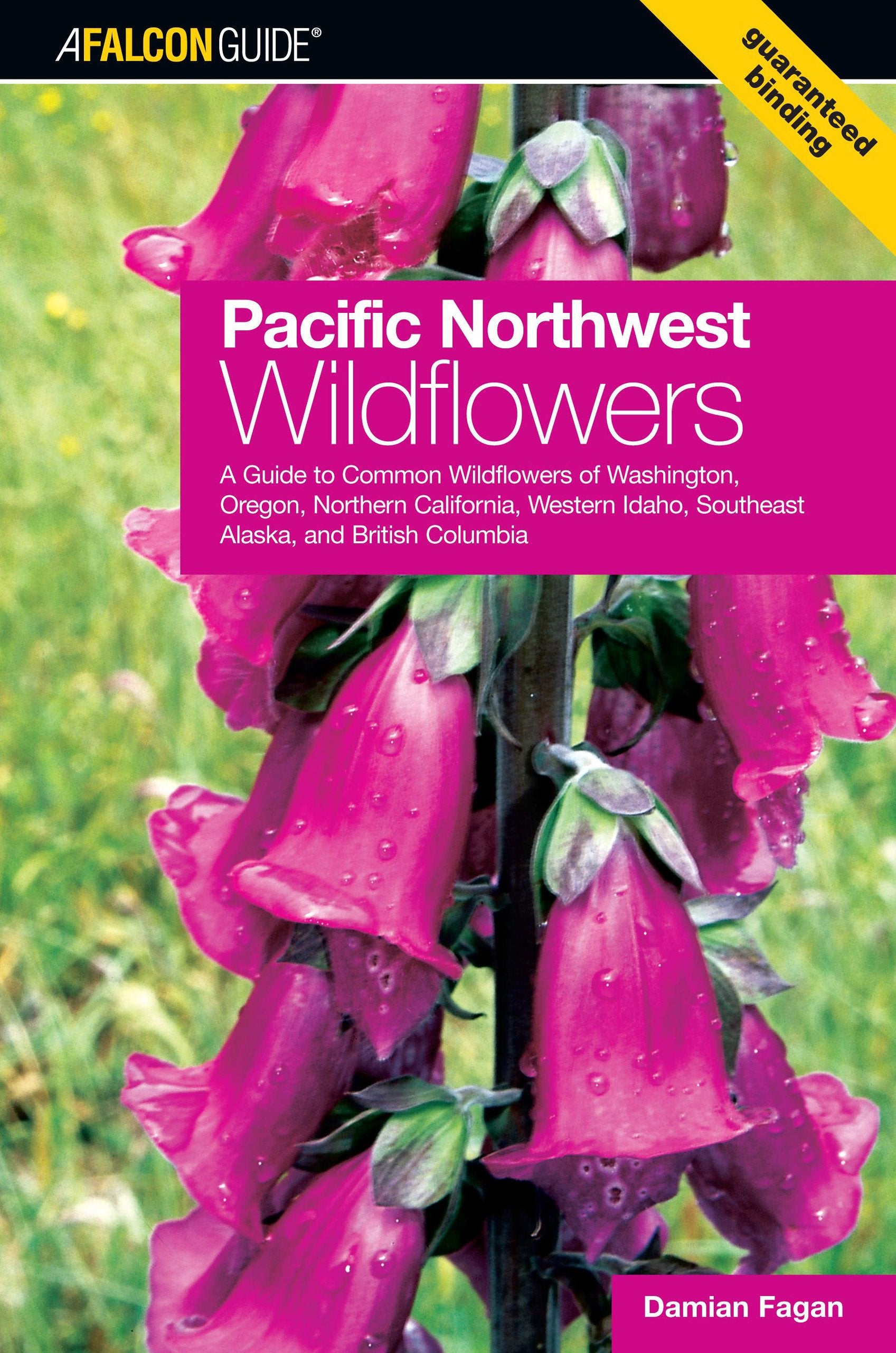 Pacific Northwest Wildflowers: A Guide To Common Wildflowers Of Washington, Oregon, Northern California, Western Idaho, Southeast Alaska, And British Columbia (Wildflower Series)