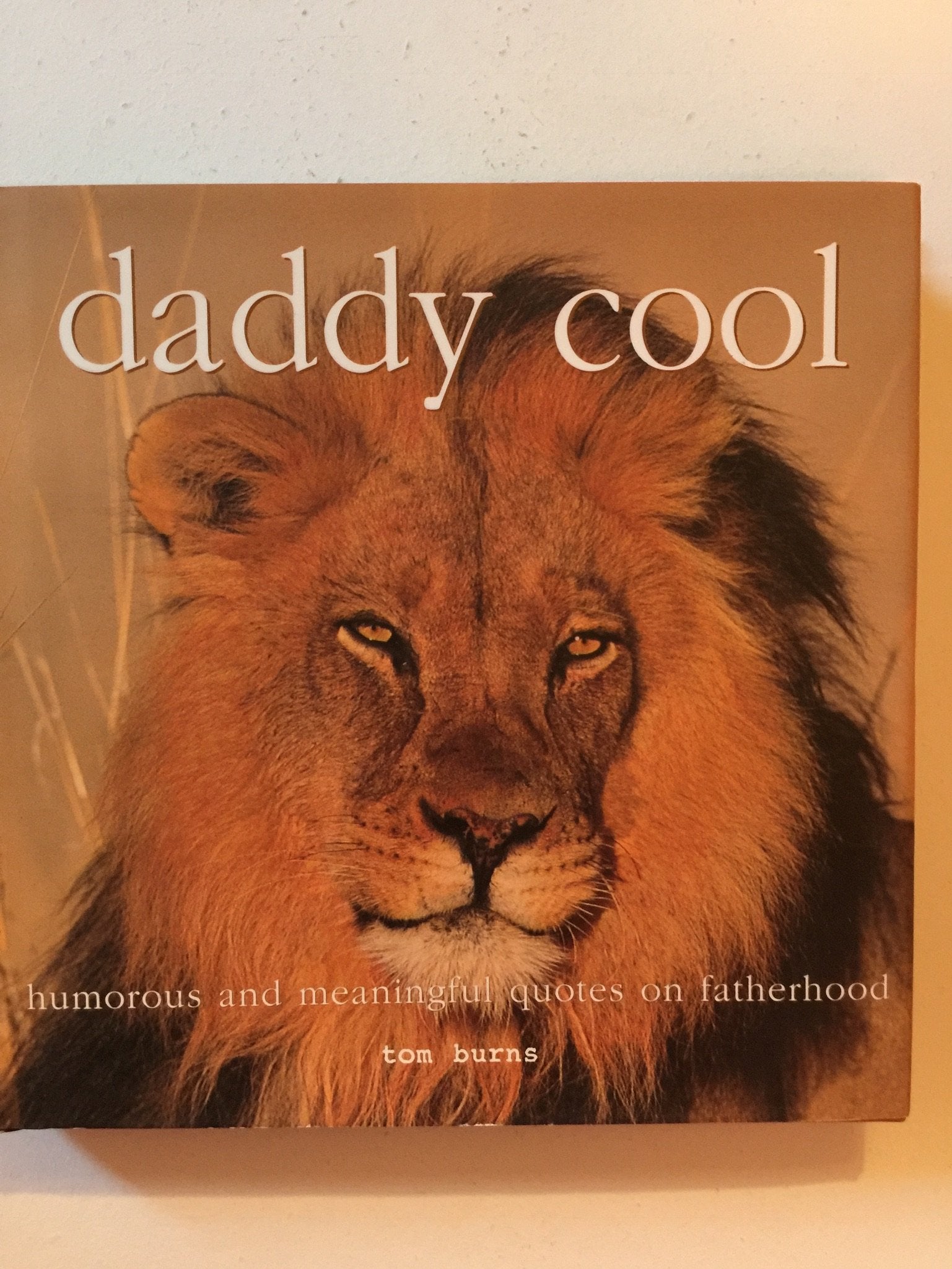 Daddy Cool: Humorous and Meaningful Quotes on Fatherhood