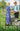 The Stone Wall: An Amish Christian Fiction Love Triangle Romance