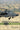 Crazyhorse: Flying Apache Attack Helicopters with the 1st Cavalry Division in Iraq, 2006–2007