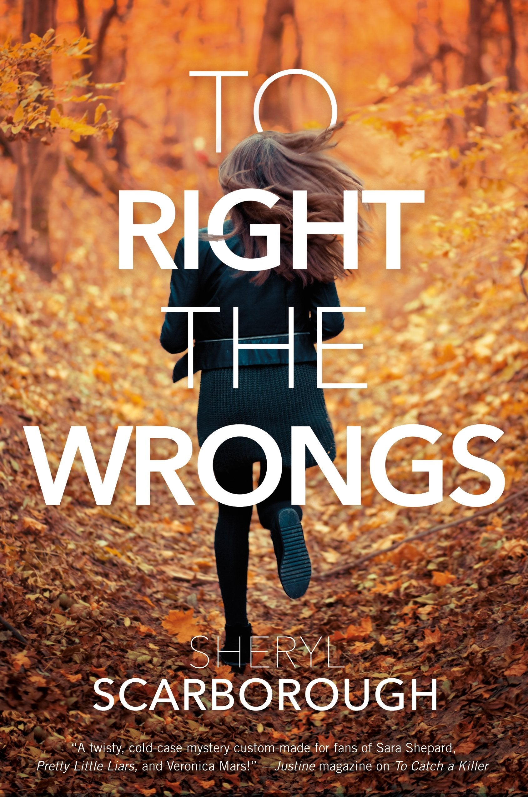 To Right the Wrongs (Erin Blake, 2) - 253