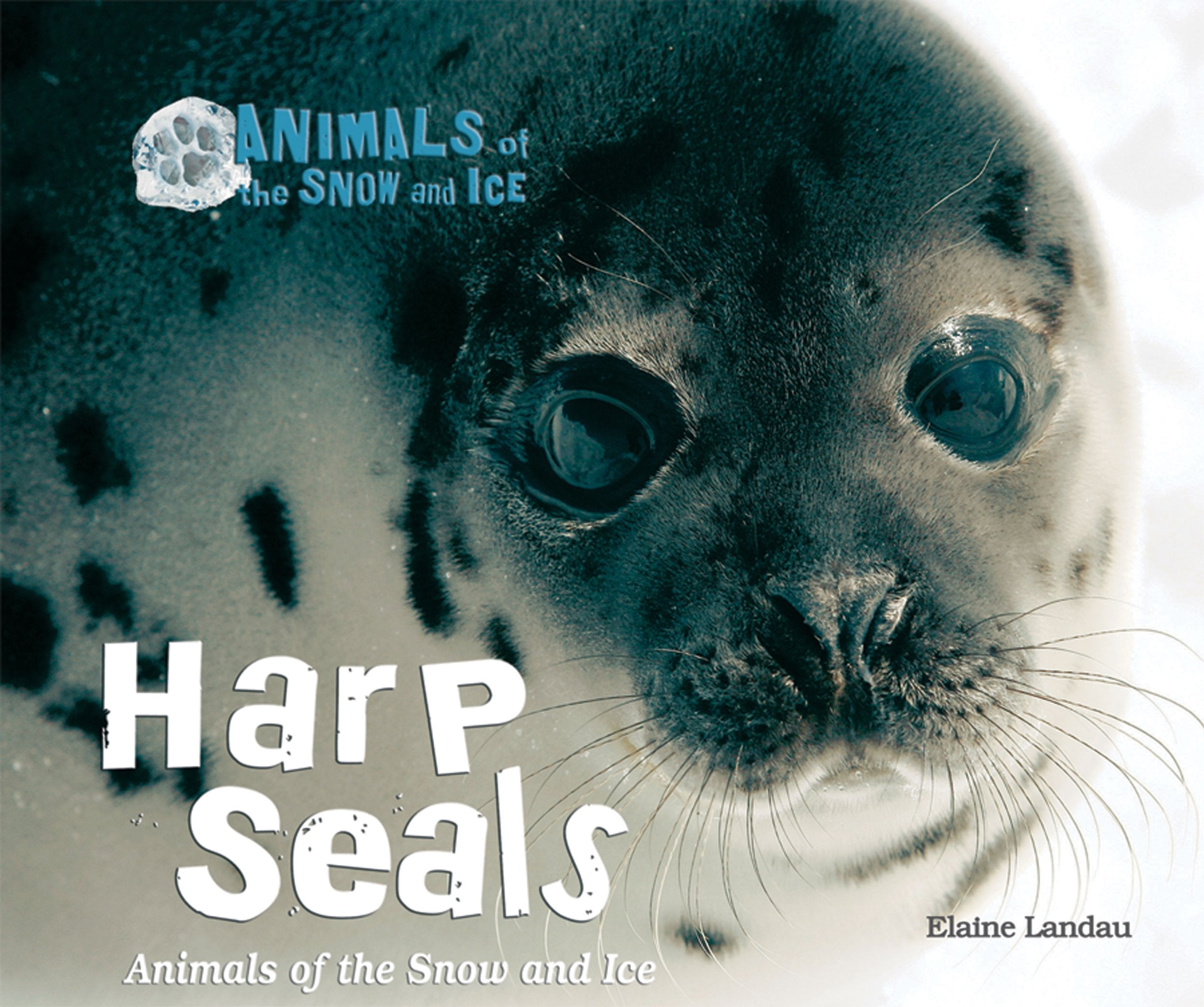 Harp Seals: Animals of the Snow and Ice