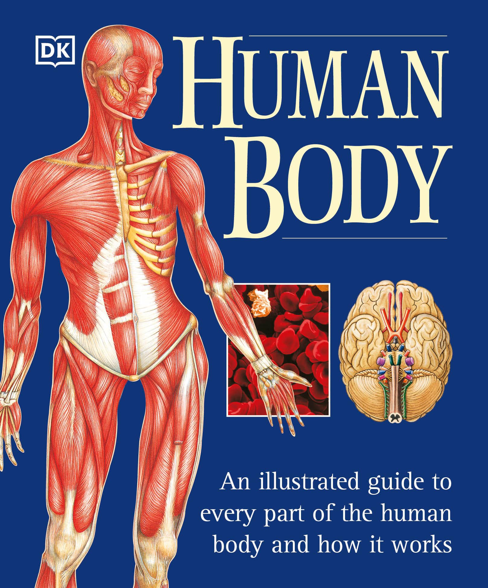 Human Body: An Illustrated Guide to Every Part of the Human Body and How It Works