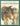 Lassie Come-Home