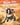 Ride On, Will Cody!: A Legend of the Pony Express