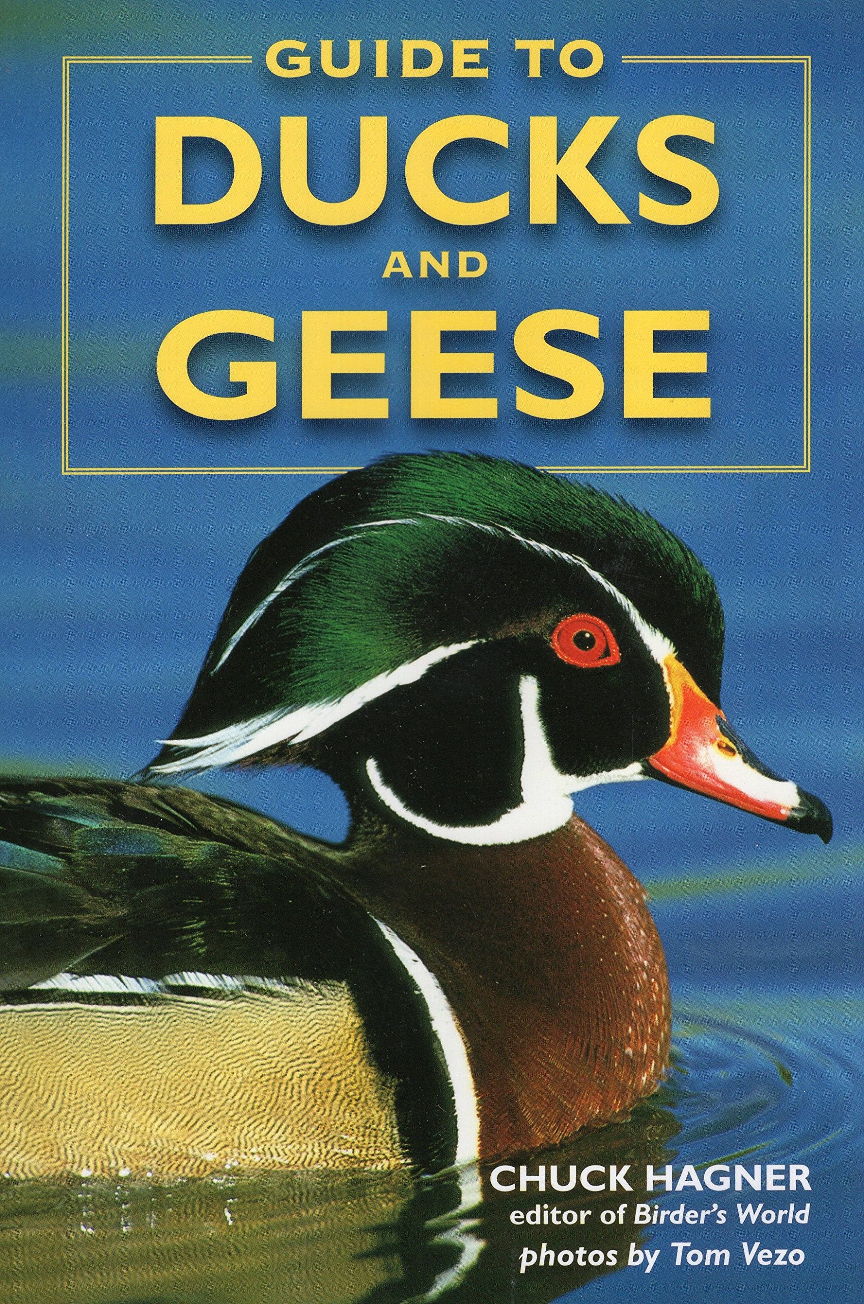 Guide to Ducks and Geese