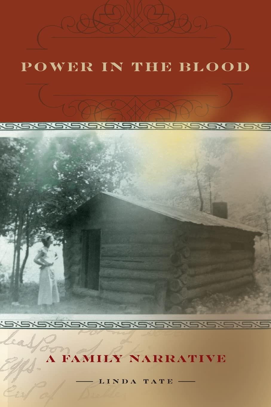 Power in the Blood: A Family Narrative (Race, Ethnicity and Gender in Appalachia)