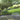 Heaven is a Garden: Designing Serene Spaces for Inspiration and Reflection