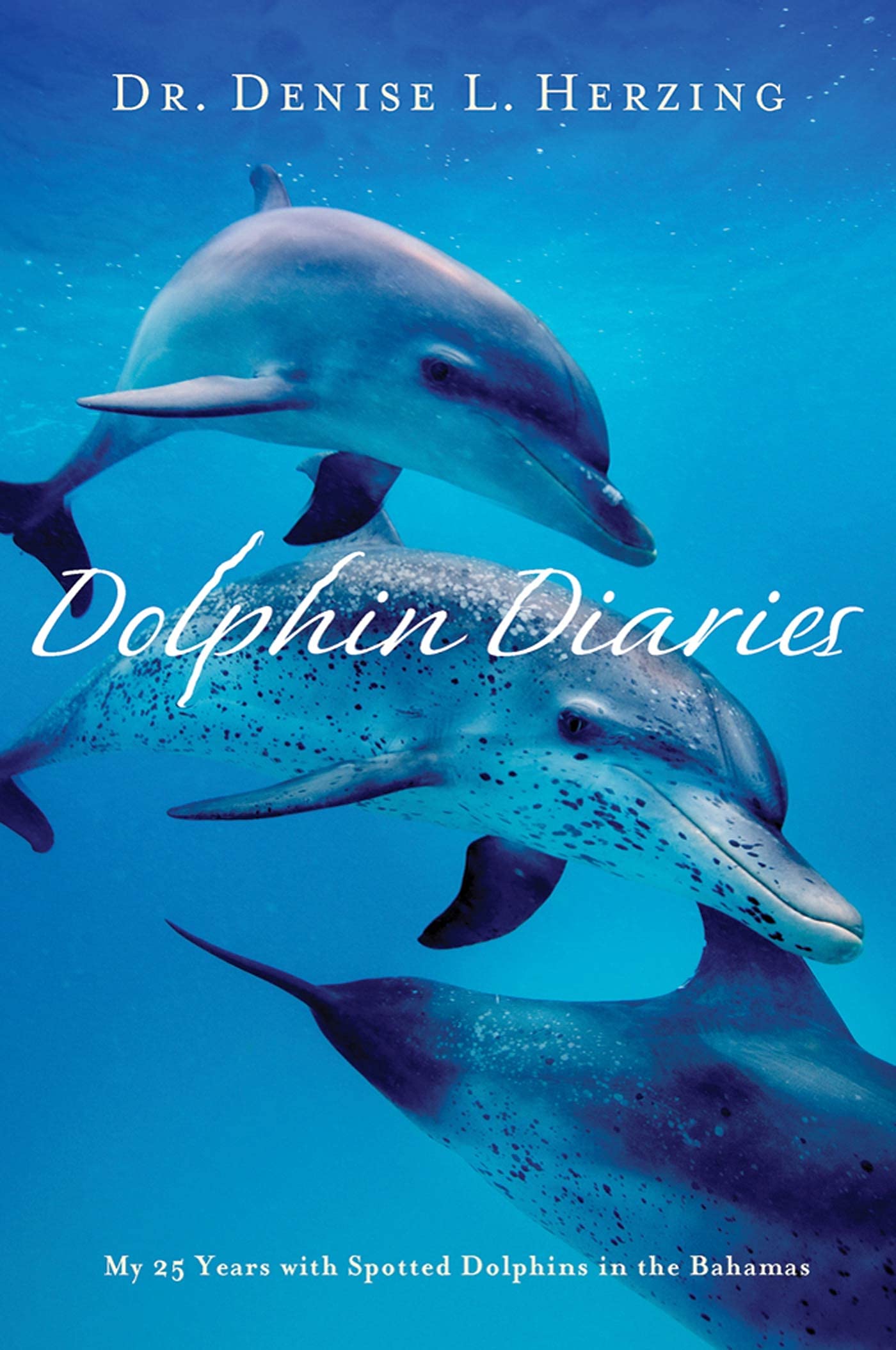 Dolphin Diaries: My 25 Years with Spotted Dolphins in the Bahamas - 350