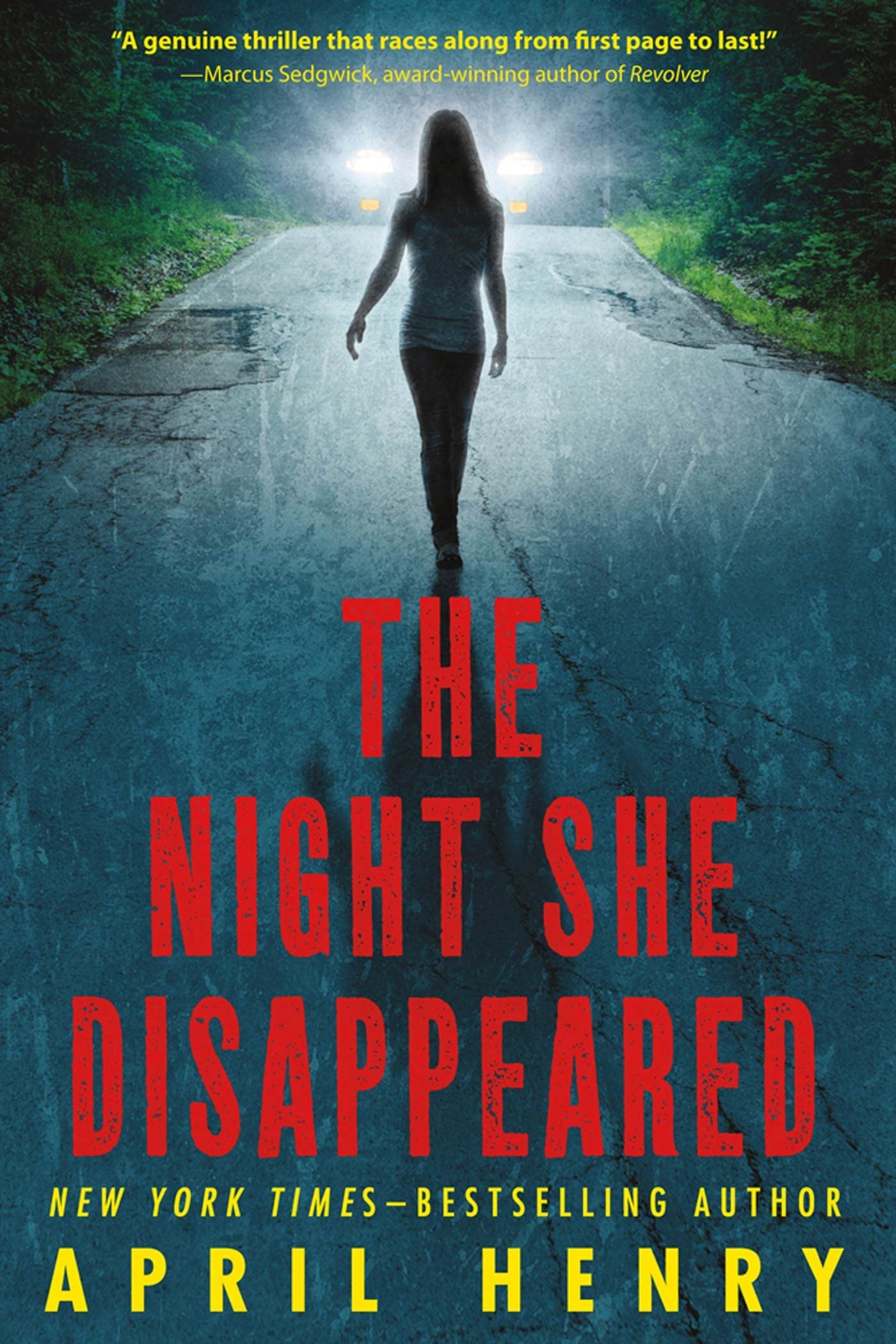 The Night She Disappeared - 3759