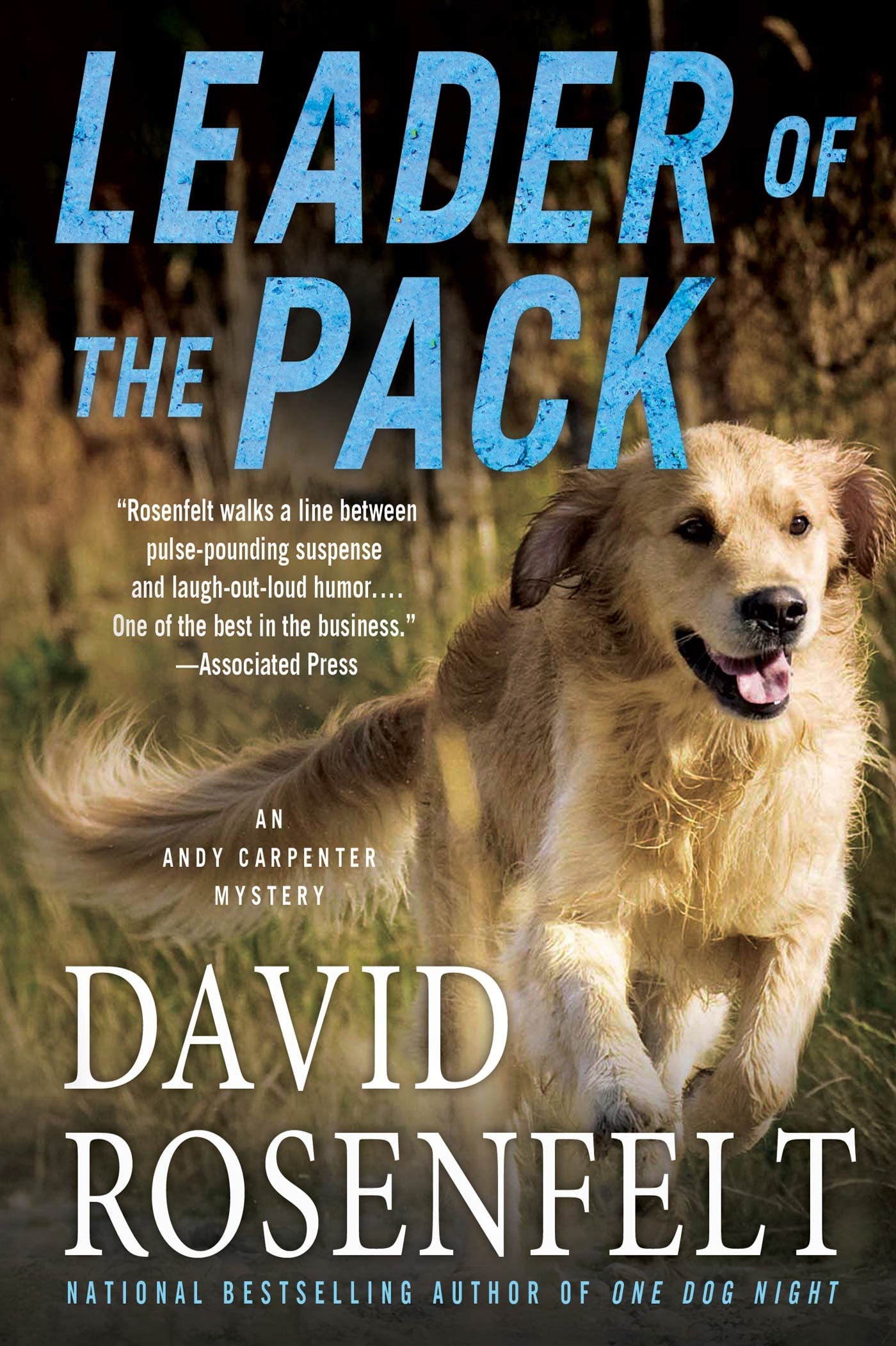 Leader of the Pack: An Andy Carpenter Mystery (An Andy Carpenter Novel, 10)