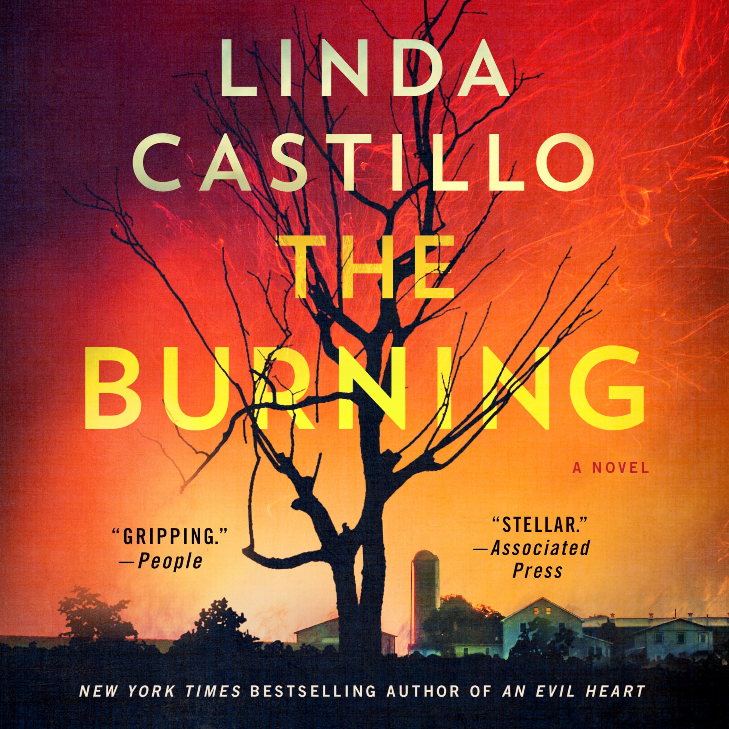 The Burning: A Novel (Kate Burkholder, 16)