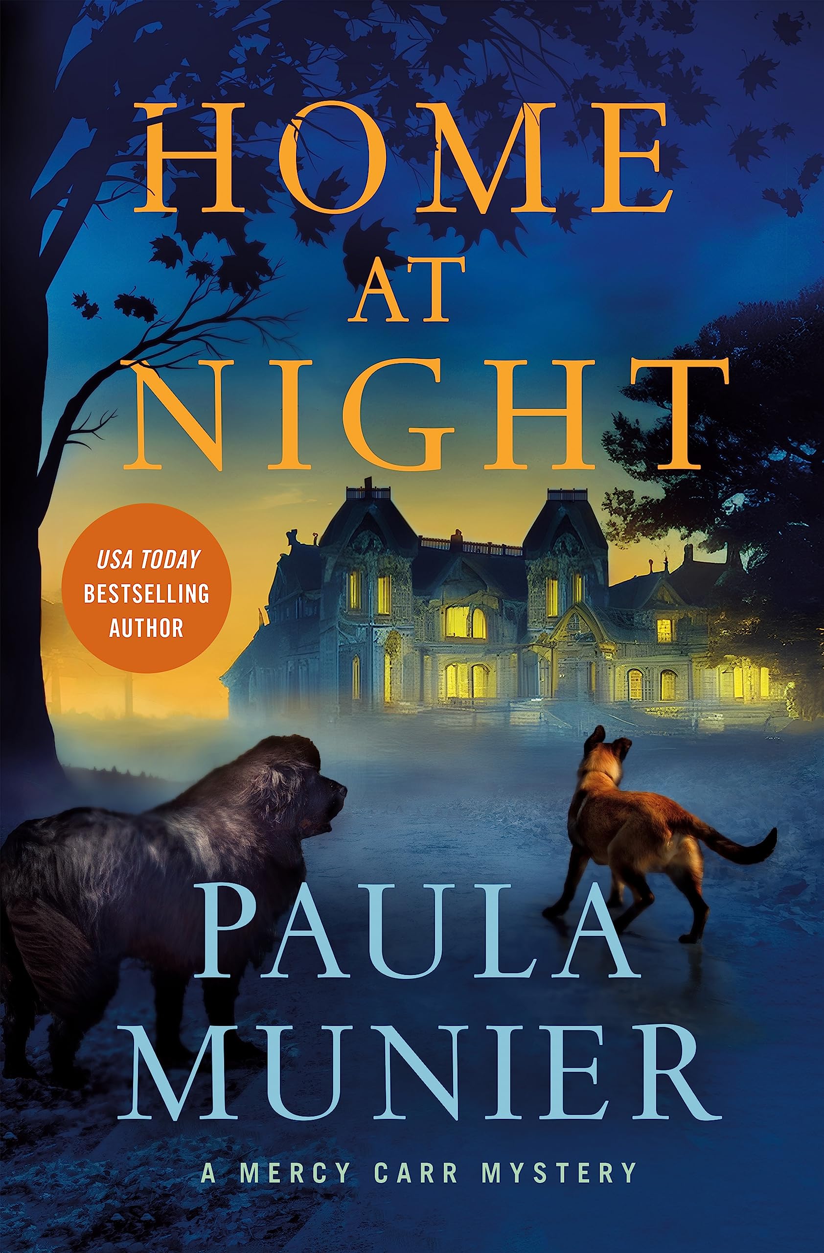Home at Night (A Mercy Carr Mystery, 5)