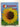 Saxon Math Student Edition Grade 3 Volume 1 HMH