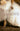 Vision in White (The Bride Quartet Series: Thorndike Press Large Print Core)