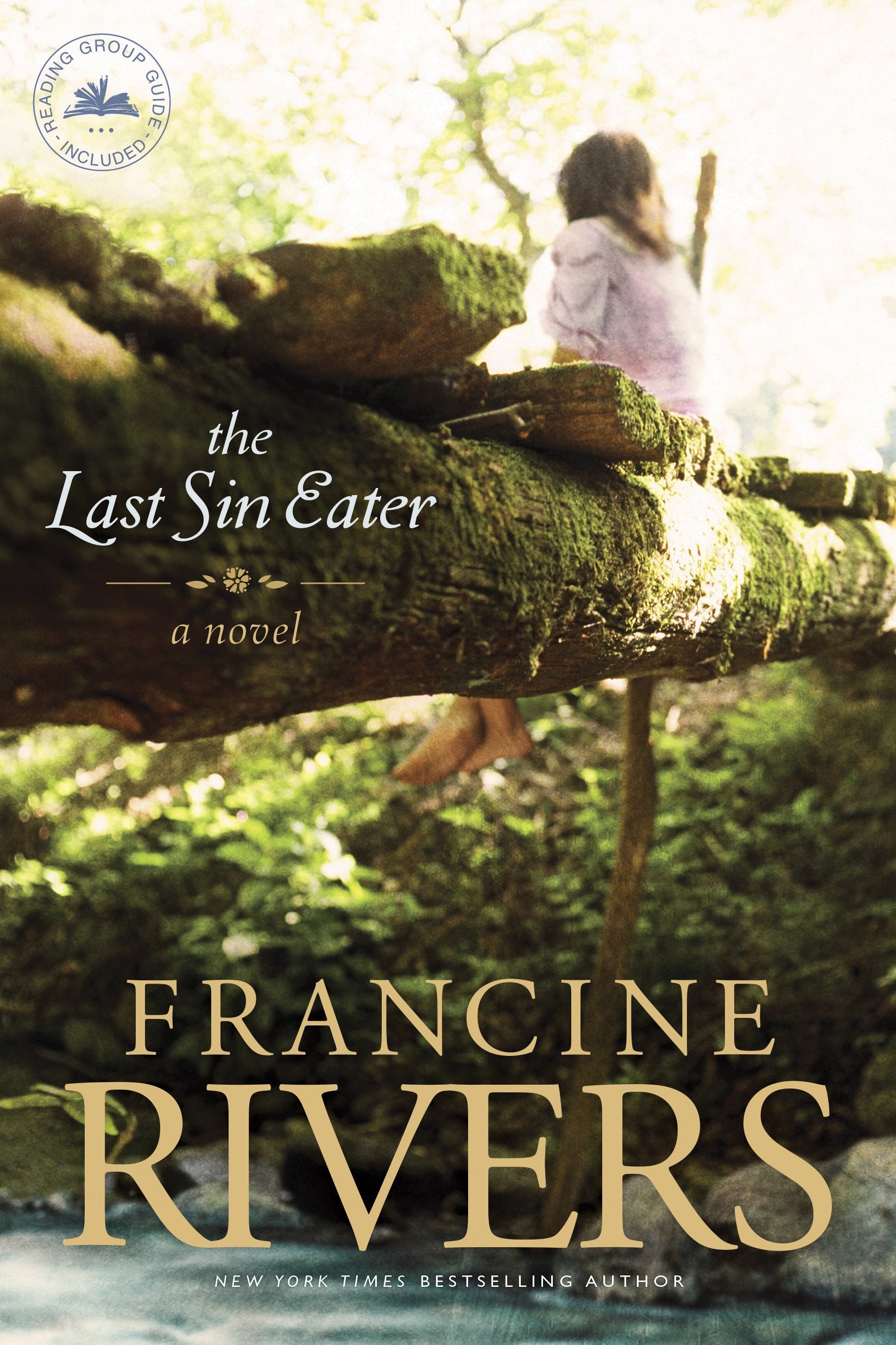 The Last Sin Eater: A Novel (A Captivating Historical Christian Fiction Story of Suffering, Seeking, and Redemption Set in Appalachia in the 1850s) - 8728